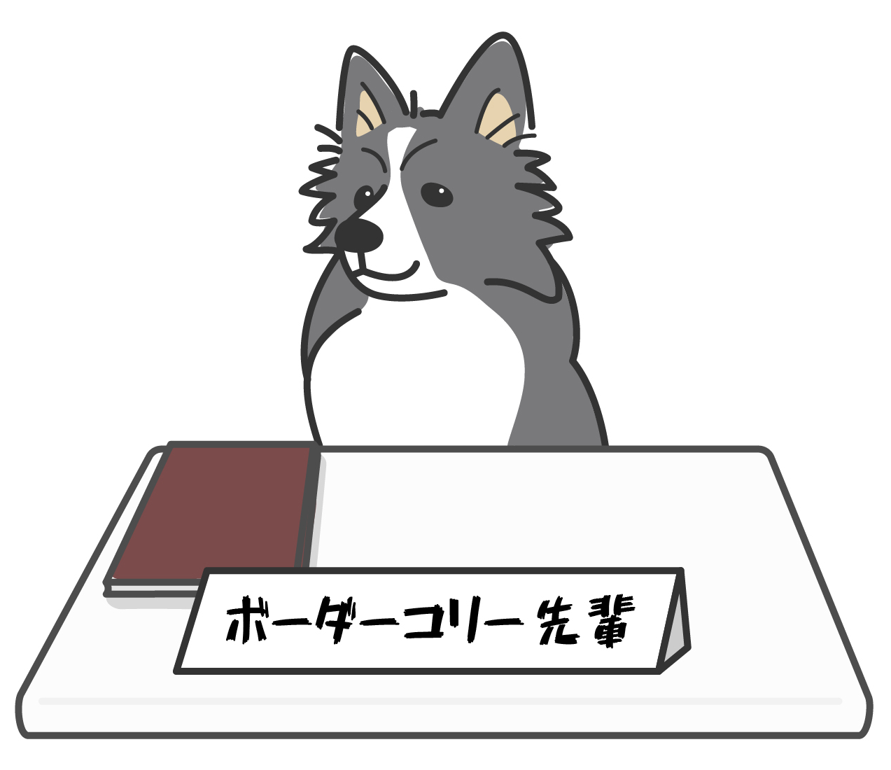 ボーダーコリー先輩