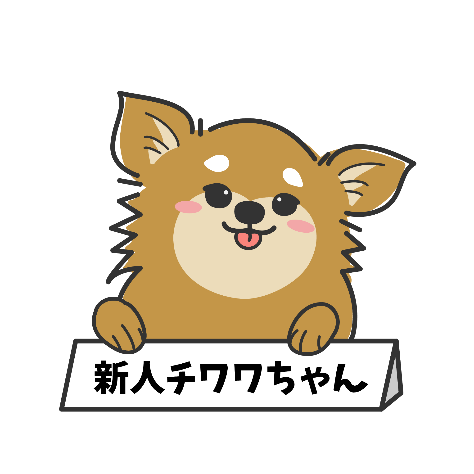 チワワちゃん